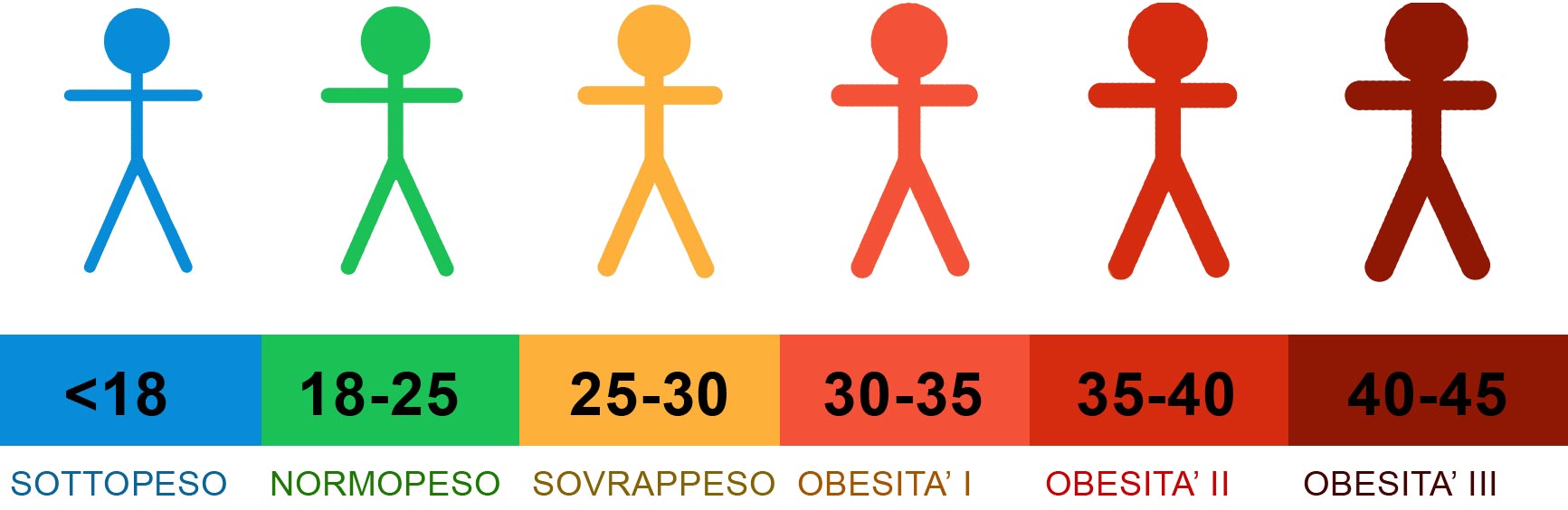 CALCOLO INDICE DI MASSA CORPOREA